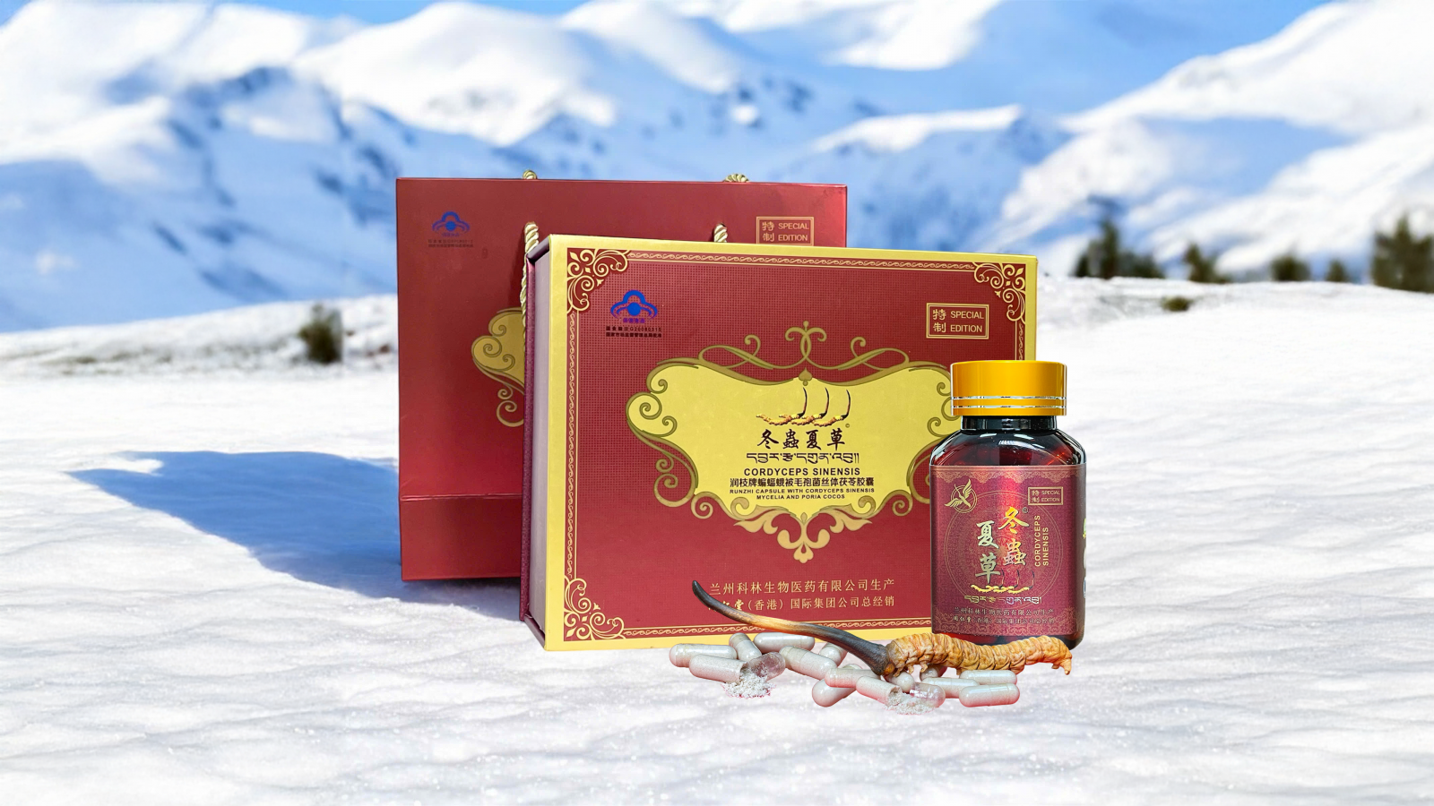 ĐÔNG TRÙNG HẠ THẢO GRACE ALLY– DƯỢC LIỆU QUÝ CHO SỨC KHỎE HIỆN ĐẠI