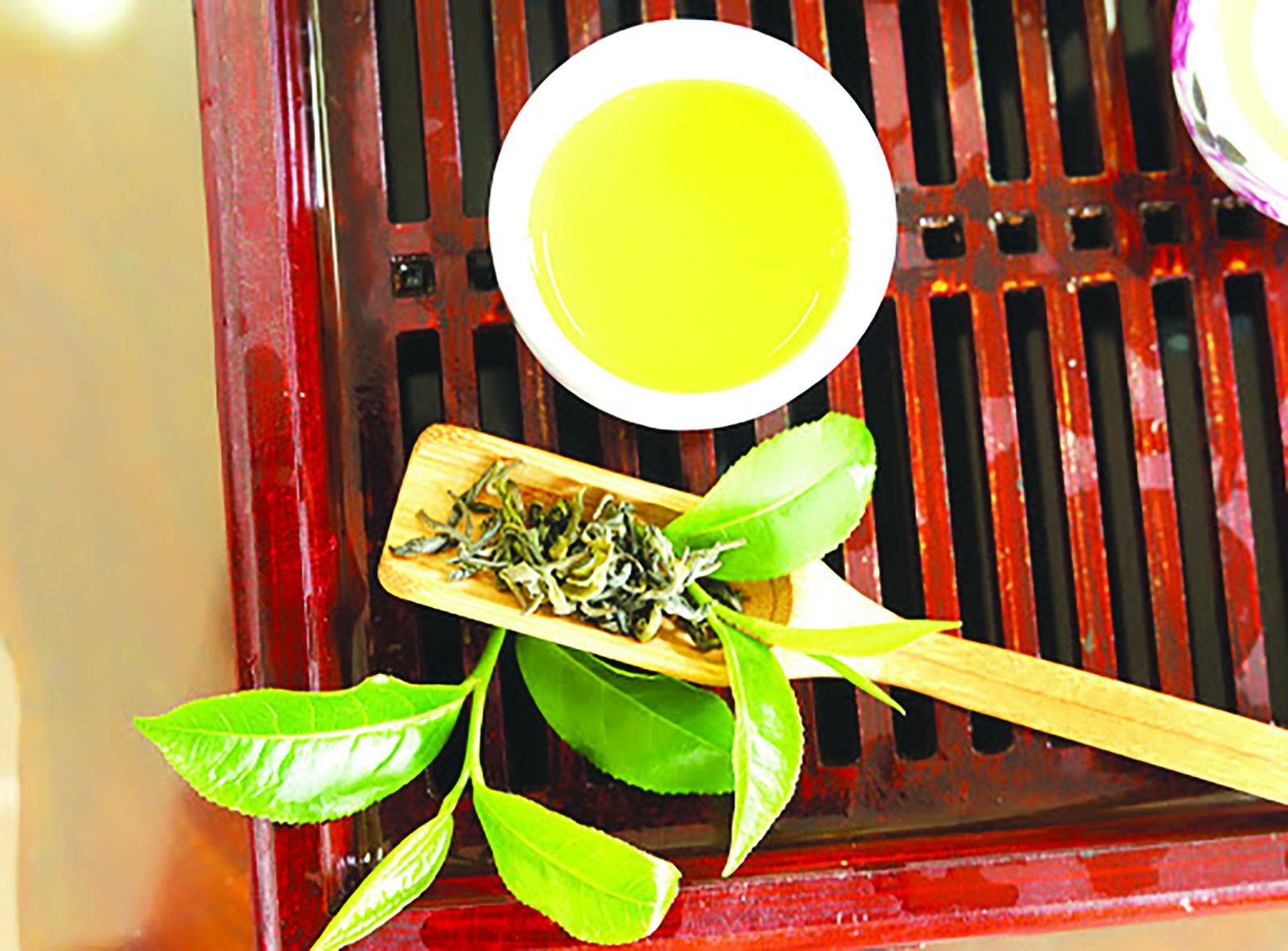 Lắng đọng hương trà Đất Tổ