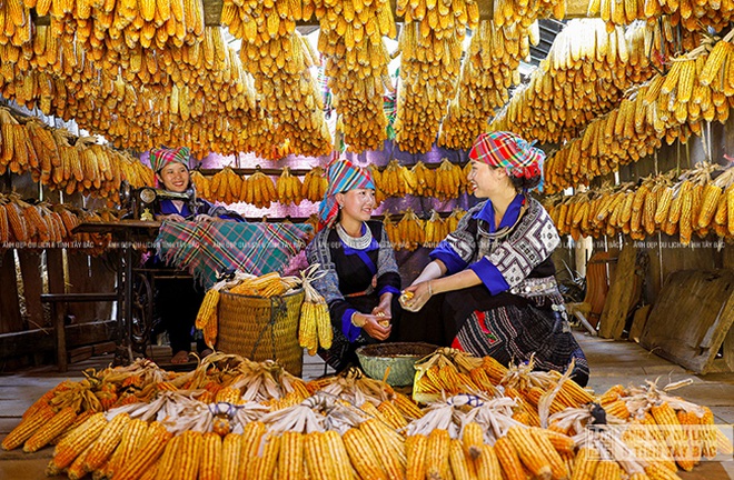 Nét thu Tây Bắc đẹp nao lòng
